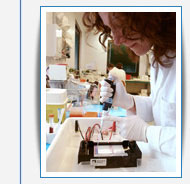 PCR - based mutation analysis