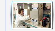 DHPLC-based mutational screening DHPLC-based mutational screening
